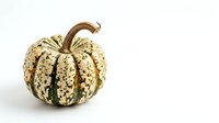 Decorative ornamental gourd with cream and dark green striped pattern, isolated on white background, suitable for fall harvest designs, autumn decorations, and seasonal marketing materials.