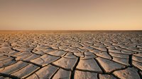 Cracked dry desert ground stretching to horizon under warm sunset sky. Drought and climate change concept for environmental awareness campaigns.