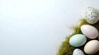 Pastel colored Easter eggs and speckled quail eggs arranged with green moss on white background, minimalist spring holiday composition with copy space.