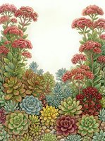 Botanical frame with colorful succulents and flowering plants creating decorative border on textured background for greeting cards and invitations.