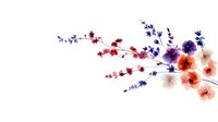 Watercolor wildflower arrangement with purple lavender and orange poppies on white background for botanical design projects and spring decorations.
