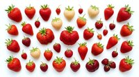 Fresh red and white strawberries of various sizes arranged on white background, isolated and ready for design use on packaging, marketing materials, and culinary projects.