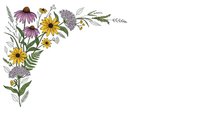 Wildflower corner border with purple coneflowers, yellow daisies and herbs on white background for botanical design projects and natural decorations.