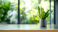 Snake plant in modern gray ceramic pot on wooden table against blurred green garden background through window, creating serene home atmosphere.