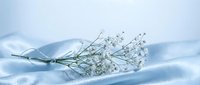 Delicate frozen plant branch with ice crystals emerging from pristine white snow drift against soft winter sky creating serene cold weather scene.