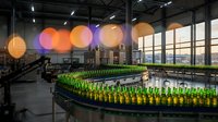 Modern brewery production facility with rows of green glass bottles on conveyor line, illuminated by warm and purple ambient lighting in industrial warehouse space.