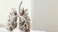 Anatomical model of human lungs made from cigarettes showing harmful effects of smoking, medical education concept on white background.