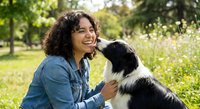 Happy woman with curly hair enjoying quality time with her border collie dog in sunny park. Pet owner bonding with loyal companion outdoors on grass.