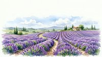 Watercolor lavender field landscape with rows of purple blooming flowers, rustic farmhouse, cypress trees, and soft cloudy sky in Provence style.