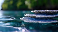 Oyster shells floating on turquoise ocean water surface with sunlight reflections creating dreamy atmospheric nature scene for marine life and seafood concepts.