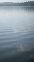 Calm lake water surface with gentle ripples reflecting cloudy sky and distant forest shoreline on overcast day creating peaceful natural scenery.