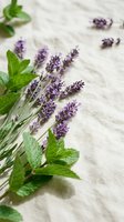 Fresh lavender sprigs and mint leaves arranged on rustic wooden surface for aromatherapy, herbal medicine, natural wellness and spa treatments.