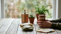 Cozy morning scene with hands holding coffee cup, wooden soap dispenser, succulent plant and fern on rustic table by window for home decor and lifestyle.