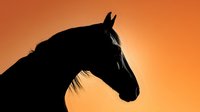 Majestic horse silhouette against vibrant orange sunset sky creating dramatic equestrian portrait for western themed designs and nature photography projects.