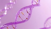 Glowing purple DNA helix structure with golden connections on soft violet background showing genetic research and biotechnology advancement in medicine.
