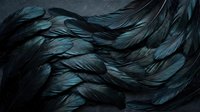 Dark teal feathers flowing in elegant waves creating abstract textural background for luxury design projects and nature-inspired artwork.
