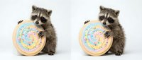 Two adorable raccoons holding colorful donuts with sprinkles on white background, perfect for bakery marketing, food advertising and cute animal designs.