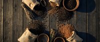 Assorted coffee beans in burlap sacks and wooden bowls on rustic wooden table, overhead view of roasted arabica varieties for brewing and cafe use.