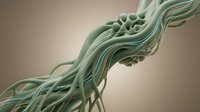 Twisted organic strands with flowing, wave-like forms in soft green and blue tones against neutral background. Suitable for medical, scientific, or abstract design projects.