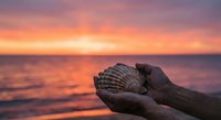 Hands holding seashell at sunset beach with golden sky reflecting on ocean waves. Peaceful moment capturing summer vacation memories and coastal tranquility.