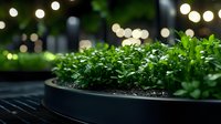 Fresh microgreens growing in round black planter with bokeh lights in background creating magical garden atmosphere for home growing and healthy eating.