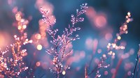 Delicate frost covered branches against blurred pink and blue bokeh background create dreamy winter atmosphere, suitable for seasonal greeting cards and festive designs.