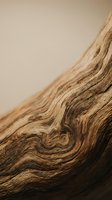 Natural wood grain texture with flowing organic patterns and warm brown tones for interior design and crafting projects.