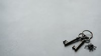 Antique metal keys on keyring with decorative spider charm on textured gray surface, symbolizing security, access, mystery and vintage collectibles for design projects.
