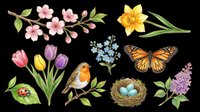 Watercolor spring flowers, tulips, daffodils, bird, butterfly, nest with eggs, and ladybug isolated on transparent background. Ready for t-shirt designs, clipart, stickers, sublimation, and print-on-demand projects.