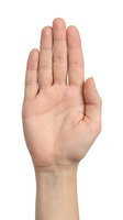 Human hand raised in stop gesture isolated on white background for communication and safety concepts.