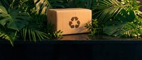 Eco-friendly cardboard package with recycling symbol surrounded by lush tropical green plants for sustainable shipping and environmental awareness.