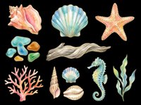 Watercolor ocean elements collection featuring seashells, starfish, coral, seahorse, seaweed, and pebbles isolated on transparent background. Ready for t-shirt designs, clipart, stickers, sublimation, and print-on-demand projects.