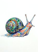Colorful snail with vibrant spiral shell and patterned body isolated on white background, suitable for clipart, t-shirt design, and children's illustrations.