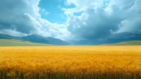 Golden wheat field stretches to distant mountains under dramatic cloudy sky with sunbeams breaking through, creating atmospheric rural landscape.