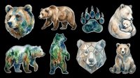 Watercolor bear collection featuring eight isolated wildlife illustrations including grizzly, polar, and brown bear heads, paw prints, and full-body poses. Transparent background, ready for t-shirts, clipart, stickers, sublimation, and print-on-demand designs.