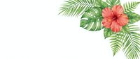 Tropical floral arrangement with coral hibiscus and green palm fronds isolated on white background, ready for design projects and decorative layouts.