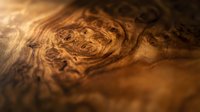 Natural wood grain texture with intricate swirling patterns and warm golden brown tones for interior design and woodworking projects.