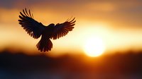 Dramatic silhouette of flying bird with spread wings against vibrant orange sunset sky and glowing sun, creating powerful nature scene with backlit effect.