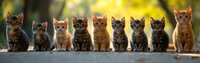 Ten young tabby and orange kittens sitting in a row outdoors with blurred green foliage background. Suitable for pet care, animal welfare, adoption campaigns.