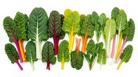 Fresh colorful chard leaves variety with vibrant stems isolated on white background. Organic rainbow swiss chard collection for healthy cooking and nutrition.