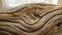 Weathered driftwood piece with natural flowing grain patterns and organic curves, perfect for rustic home decor, crafting projects, and natural design elements.