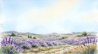 Lavender field landscape with rolling hills and wildflowers in bloom, suitable for travel, nature, and wellness design projects.