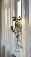Eucalyptus branches in glass vase on windowsill with soft natural light filtering through white curtains creating peaceful home decor atmosphere.