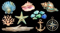 Watercolor seashells, starfish, coral, sea glass, driftwood, anchor and compass rose isolated on transparent background. Ready for t-shirt designs, clipart, stickers, sublimation and print-on-demand products.