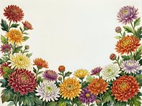 Colorful chrysanthemum floral border frame with white copy space, featuring orange, yellow, purple blooms in vintage botanical style.