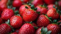 Fresh ripe strawberries with green leaves in natural lighting, macro shot showing detailed texture and vibrant red color of seasonal berries.