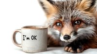 Red fox with bright blue eyes lying next to ceramic mug with text I'm OK, close up portrait on light background. Concept of monday morning coffee and wildlife.