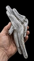 Weathered driftwood piece held in hand, isolated on transparent background. Ready for design use in crafts, home decor graphics, nature-themed products, stickers, and print-on-demand designs.