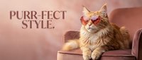 Stylish orange tabby cat wearing trendy sunglasses relaxing on pink velvet armchair. Fashion pet portrait for lifestyle and humor content.