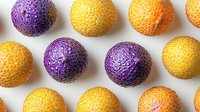 Fresh ripe oranges and purple citrus fruits arranged in rows on white background, creative food pattern composition for healthy eating concept.